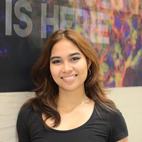 Ellys Ilagan