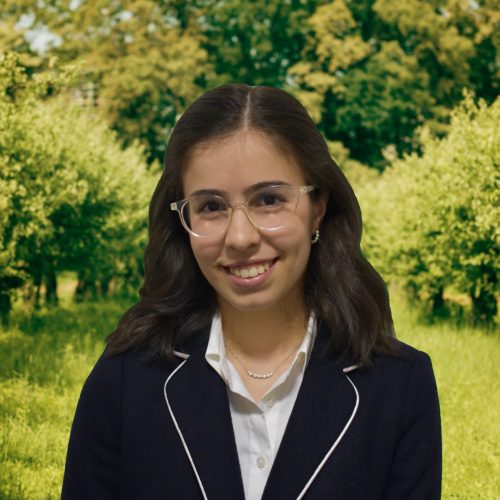 Sara Safadel